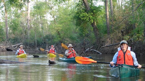 Four people in kayaks on a tree-lined creek.