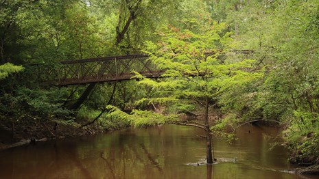 A brown metal bridge spanning a creek with a cypress tree in the water.