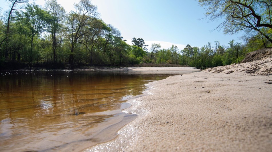 Big Thicket National Preserve 