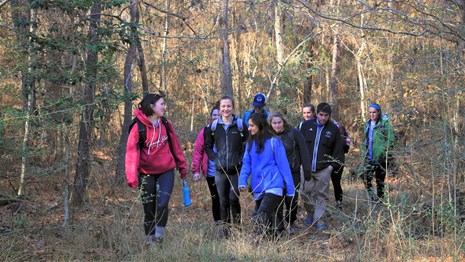 group of hikers in the woods