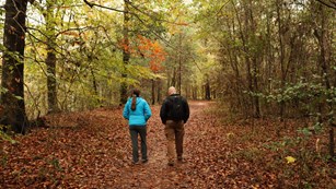 Two hikers on a wide, flat trail covered with leaves & surrounded by tall trees with colored leaves.
