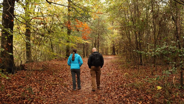 Two hikers on a wide, flat trail covered with leaves & surrounded by tall trees with colored leaves.
