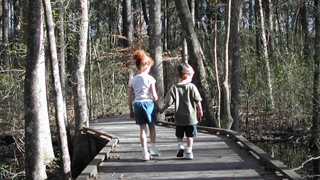 Two children walking down a boardwalk lined with trees.