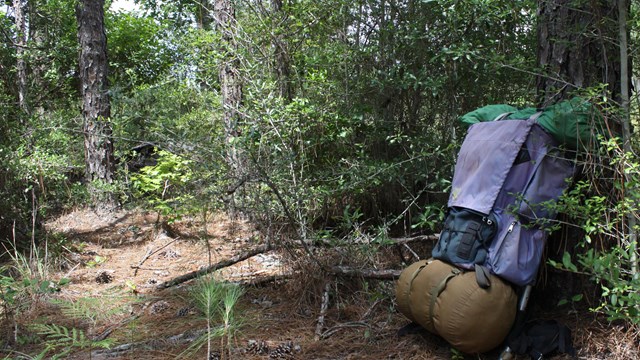 A backpack leaning against a pine tree.