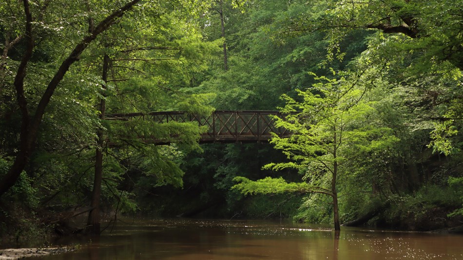 An iron bridge above a muddy creek, with many trees along its banks