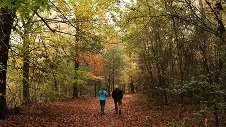 2 hikers walking side by side on a leafy trail in the woods with some fall colors above them.