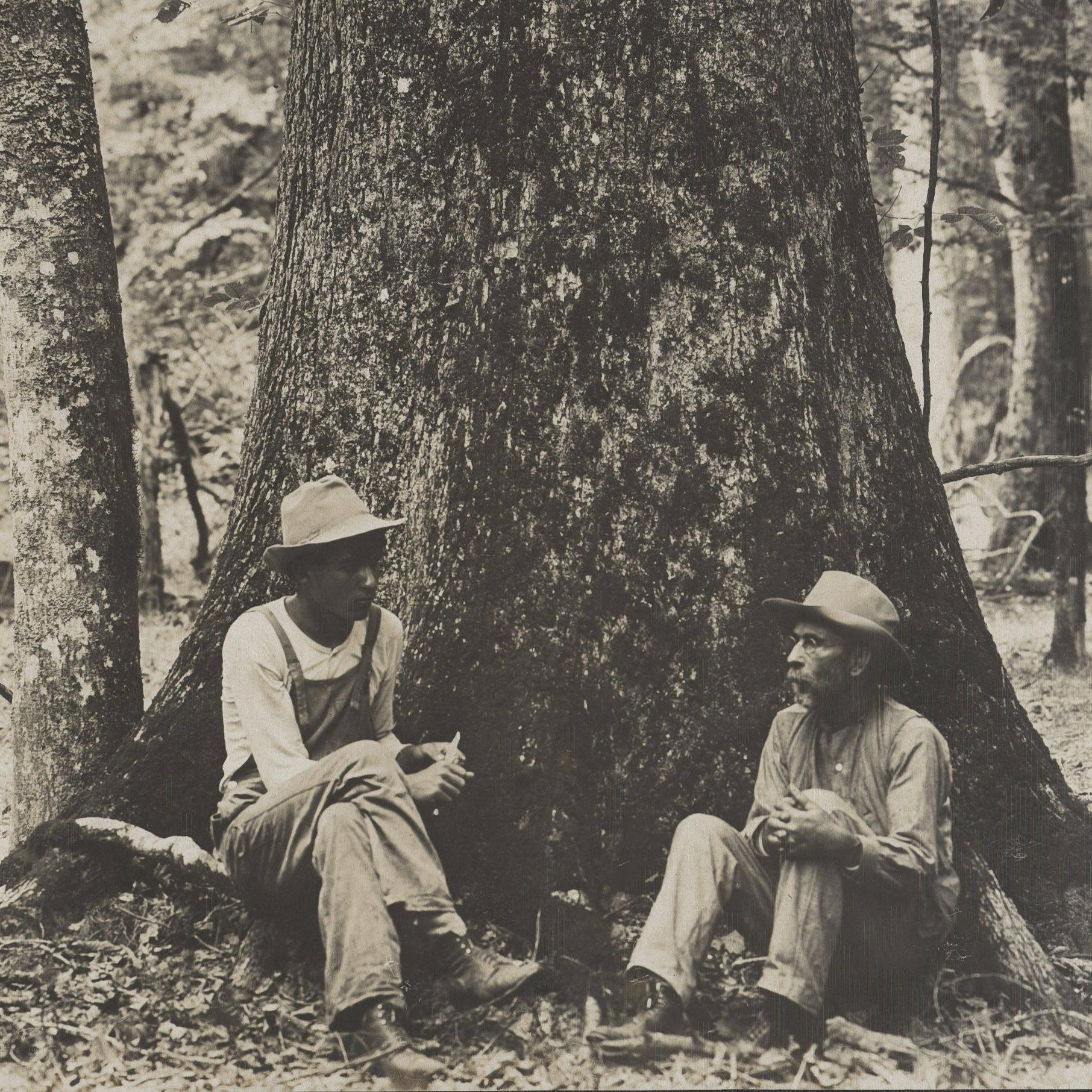 historic black and white photo of 2 men sitting at the base of a large tree.