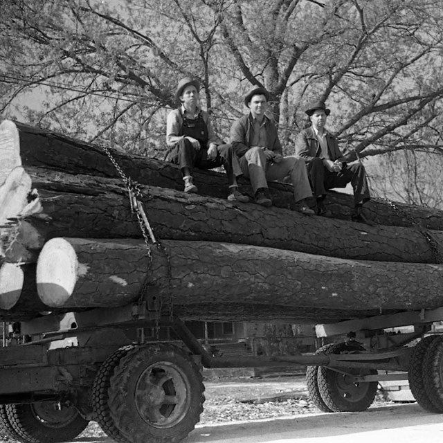 historic black and white photo of 3 men sitting atop a log trailer