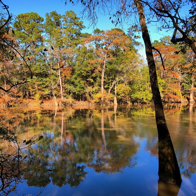 Tall trees with red and orange leaves reflect their images in a large blue lake. 