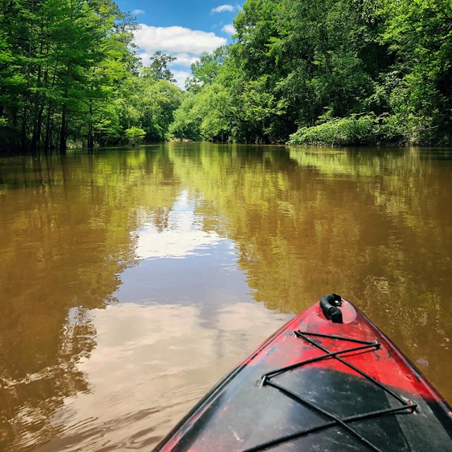 first-person perspective of a kayak on a wide forested waterway