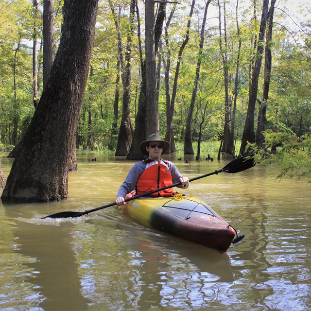 Paddling the Big Thicket - Big Thicket National Preserve (U.S.