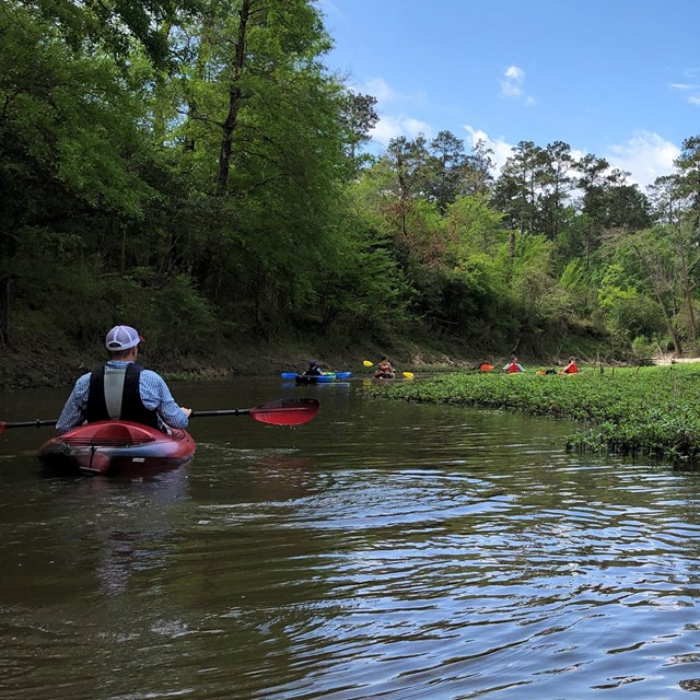 a group of kayakers on a narrow waterway, with a forested left bank and swampy, open right bank.
