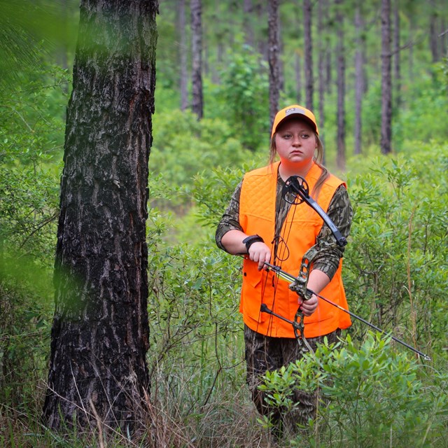 A woman wearing orange vest hunting with a bow and arrow in a pine forest.