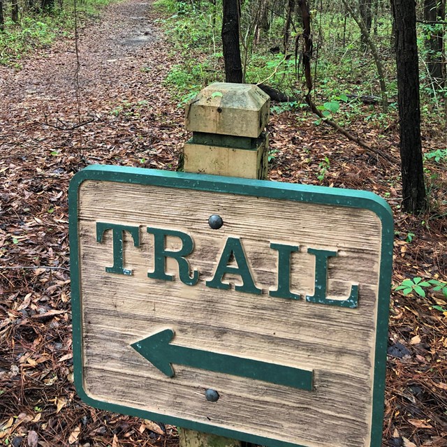 close up of wooden trail sign with text reading 