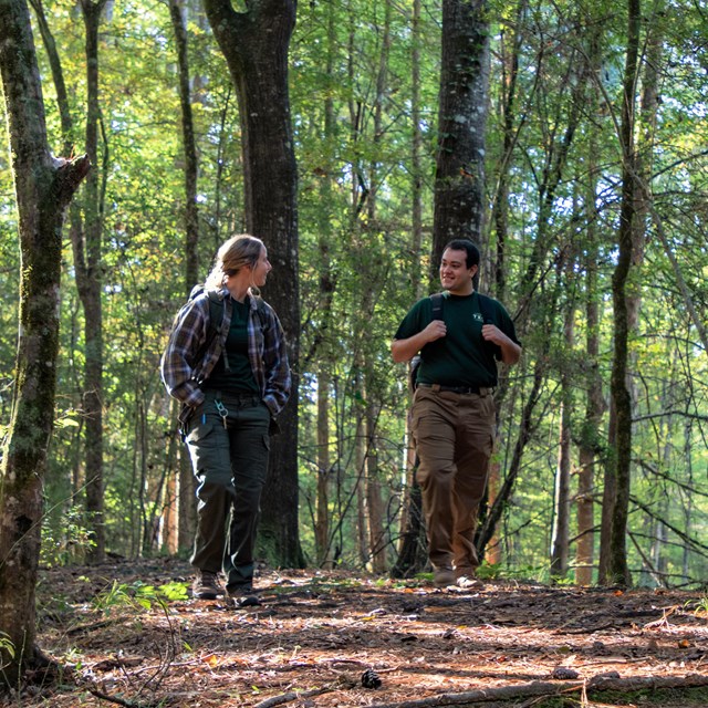 A young woman and man walking down a shaded trail through green woods.