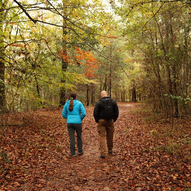 2 hikers in jackets walking down a leaf covered path in fall on a chilly day.