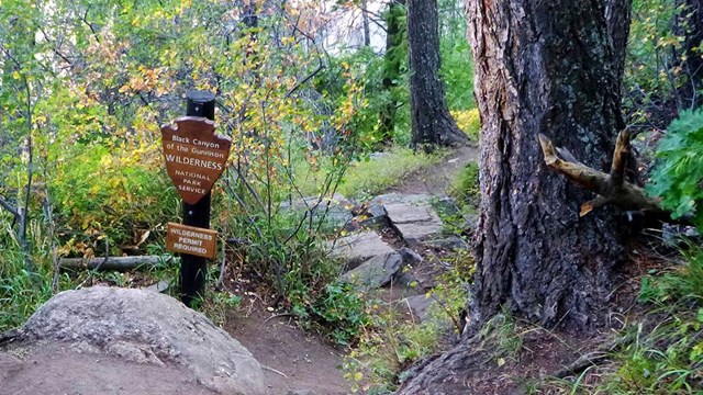 wooden arrowhead sign marking the wilderness area boundary along a trail in the woods