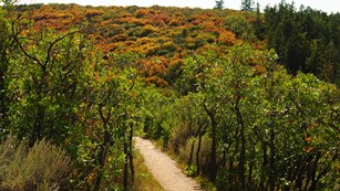 Hiking Along the Rim