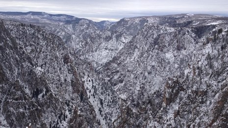 Snow covers the cliffs and trees at the edge of the canyon
