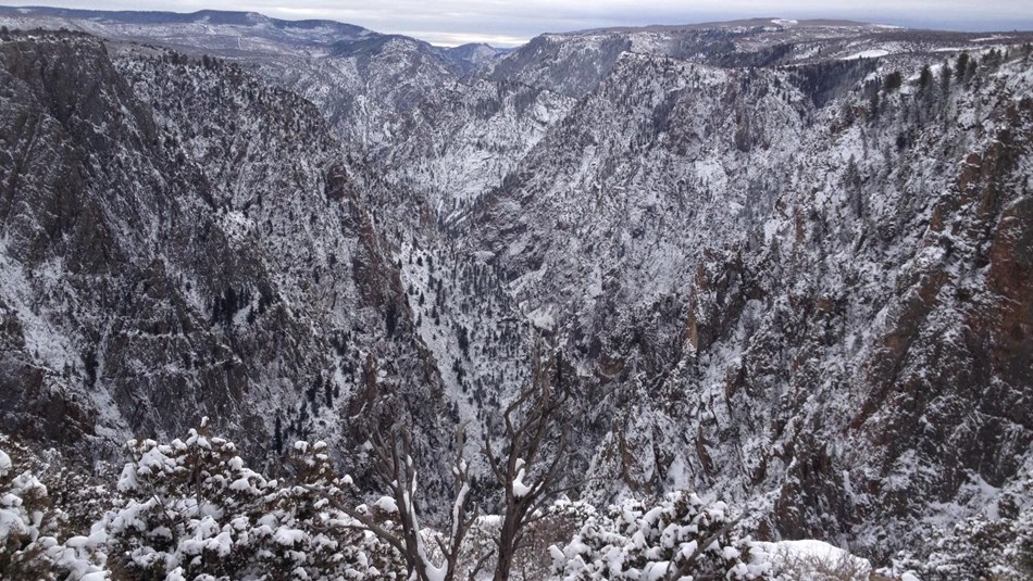 snow encrusted canyon view