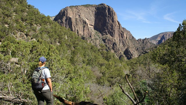 A person wearing a white t-shirt hiking down a steep, rocky gully