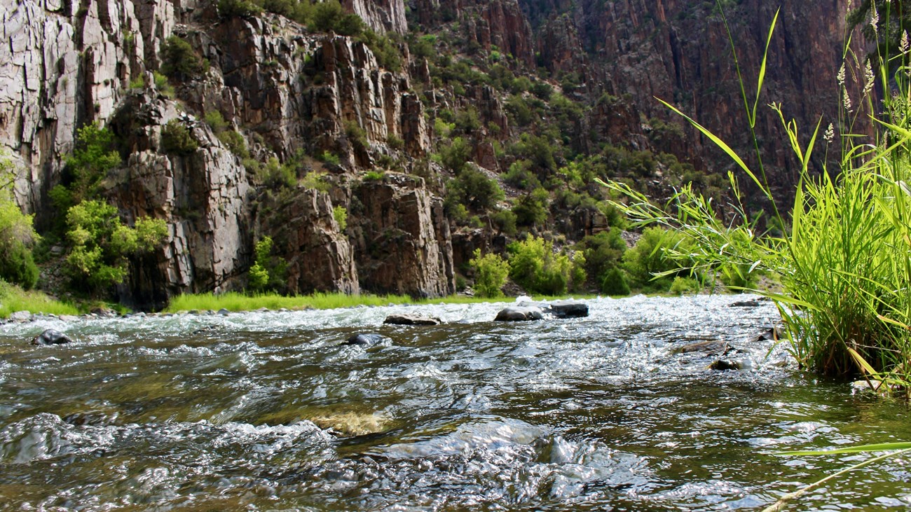 A clear river with small rapids between dark canyon walls