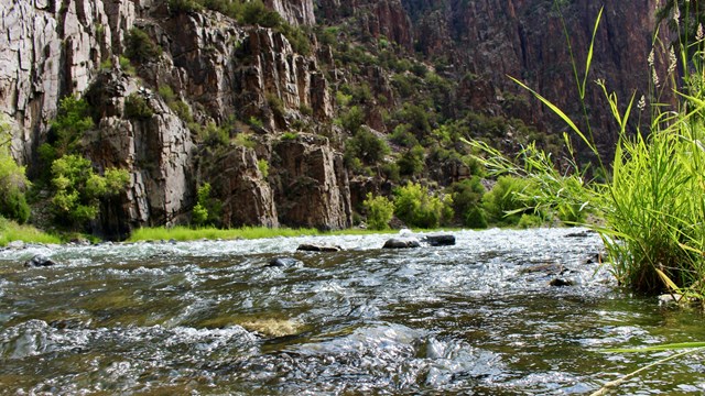 A clear river with small rapids between dark canyon walls