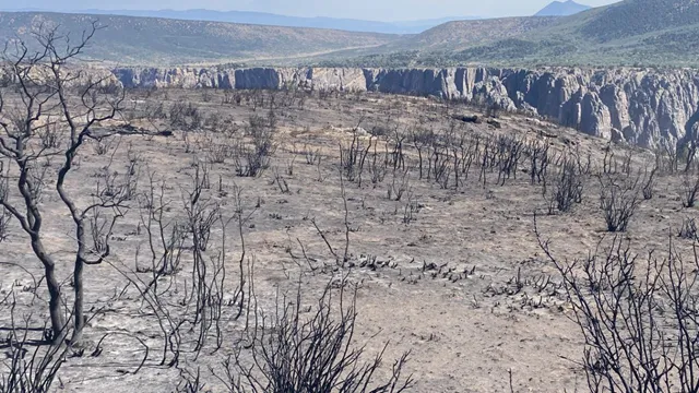 Spring For Rim Lock Current Conditions - Black Canyon Of The Gunnison National Park (U.S ...
