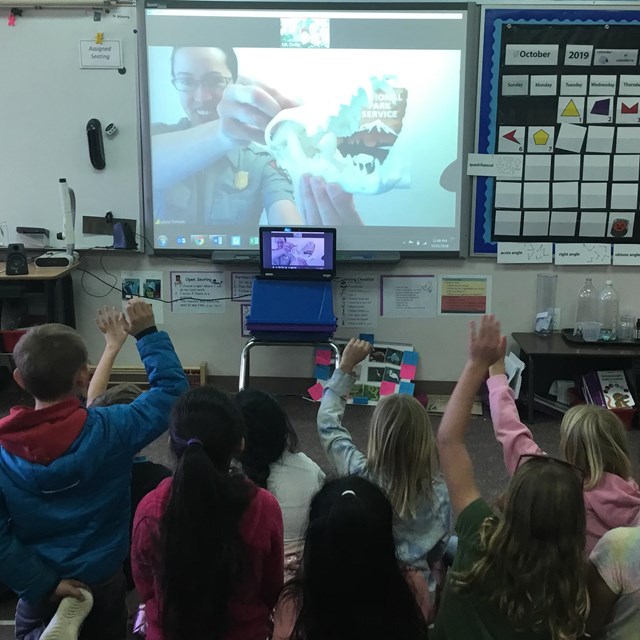 Projected image of a ranger holding a skull appears in a classroom of students raising their hands.