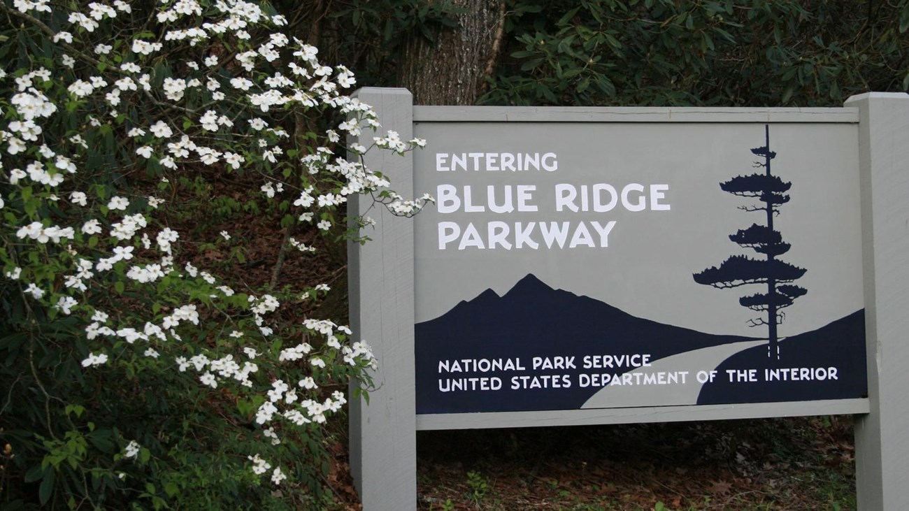 blooms around Parkway entrance sign