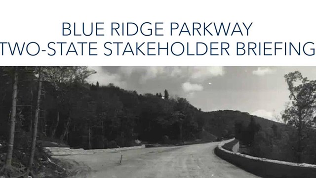 title slide of virtual brief