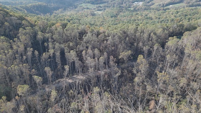 aerial view of helene damage