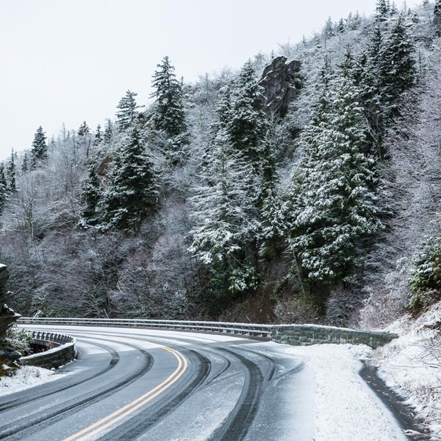 A snowy scene in the Parkway's High Country.