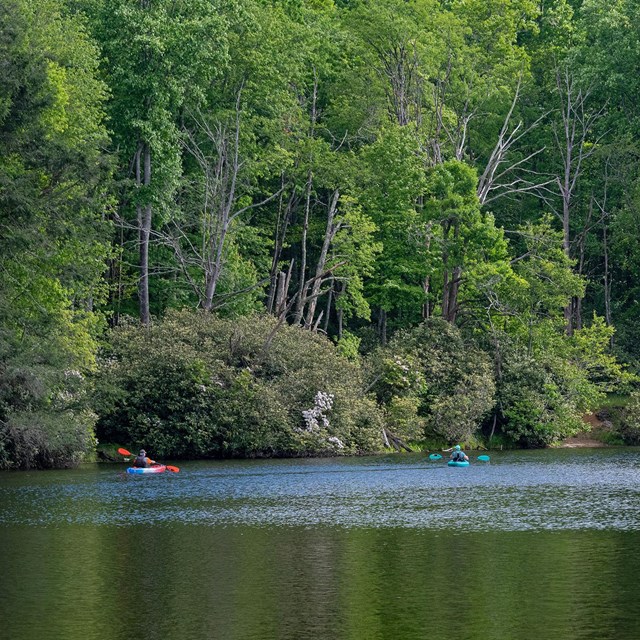 A kayaker paddles in the distance on a calm lake surrounded by forest