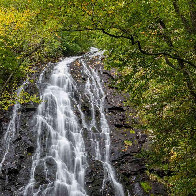 A waterfall cascades over rocks in a forest