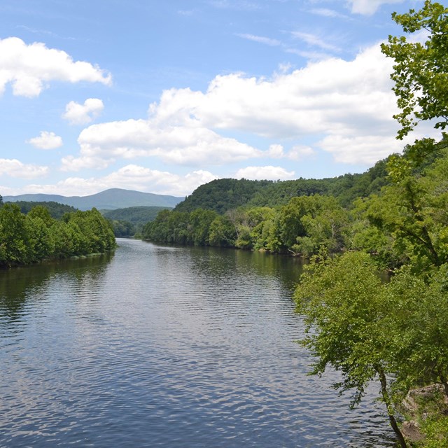 A river winds through a valley, with forest on both sides of the water