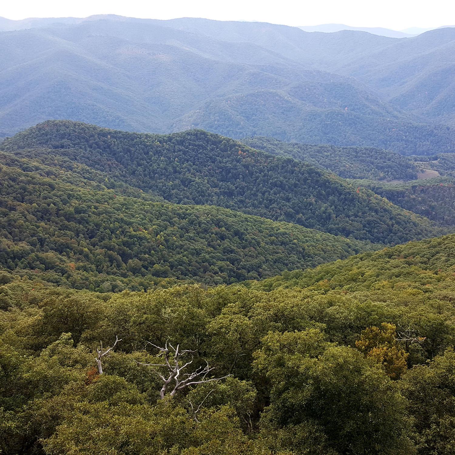 view of mountains from Frying Pan Mountain