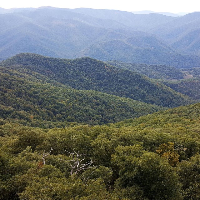 Popular Destinations - Blue Ridge Parkway (U.S. National Park Service)