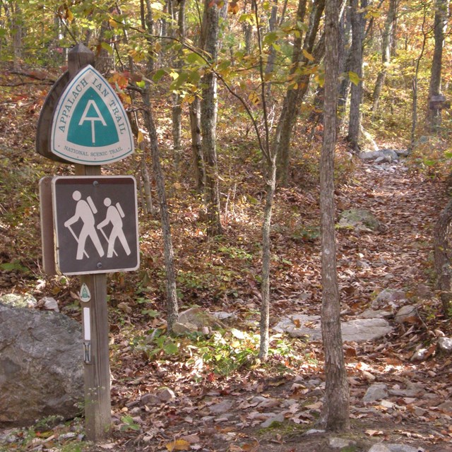 Link to find out information on having a safe and enjoyable hiking experience.