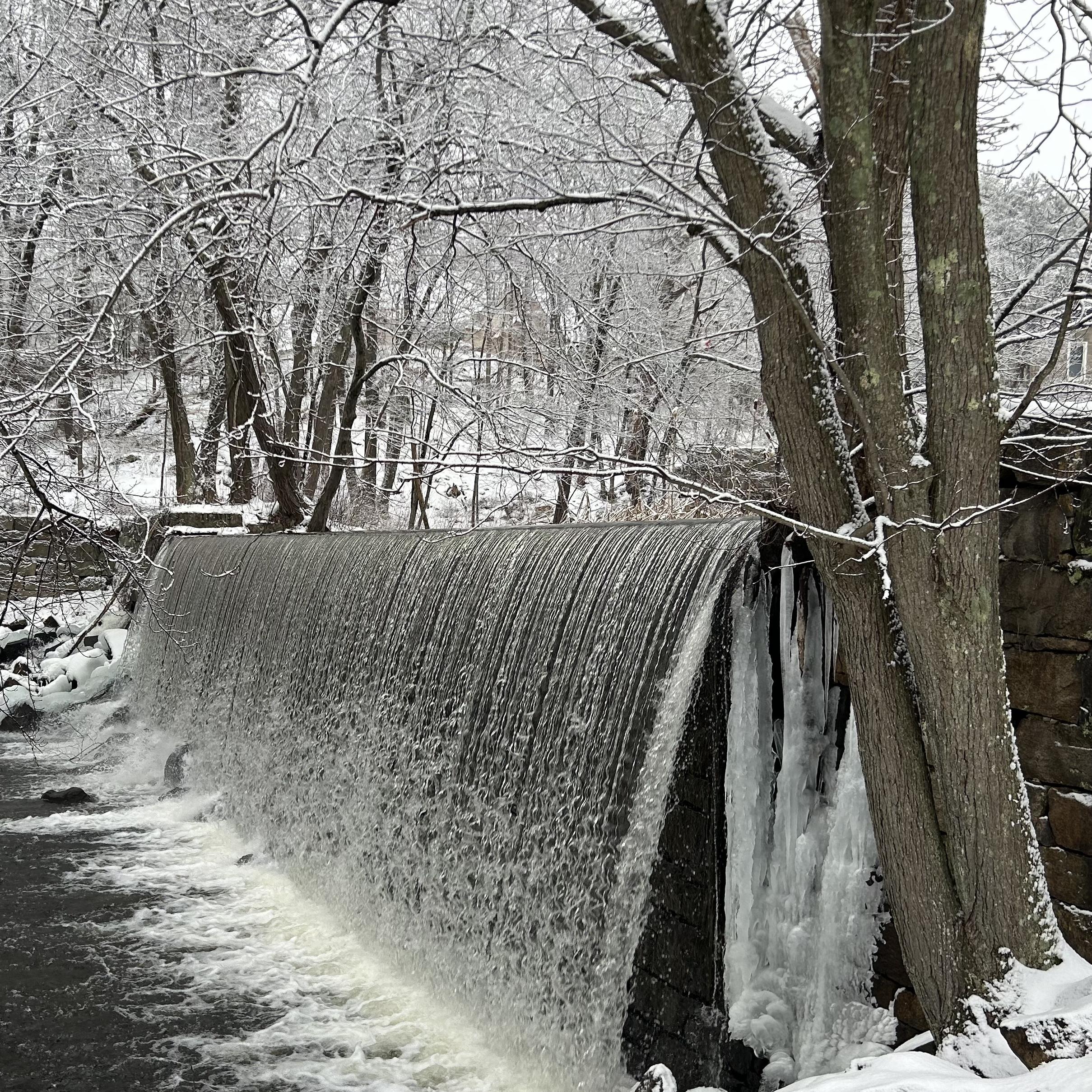 A waterfall surrounded by ice and snowy trees