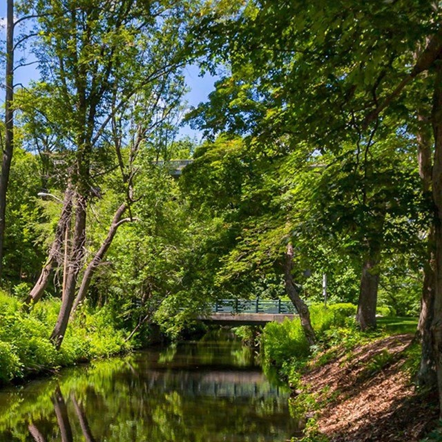 Picture of the Blackstone Canal
