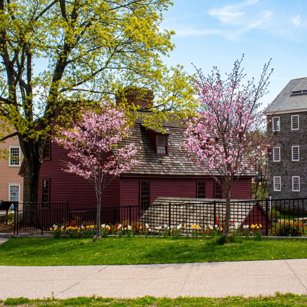 Red building with budding trees in the foreground