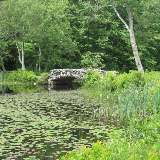 Stone arched bridge in Hopedale Parklands