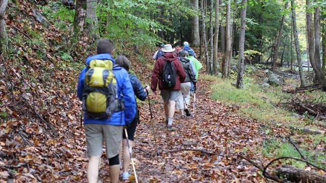 hikers on a trail