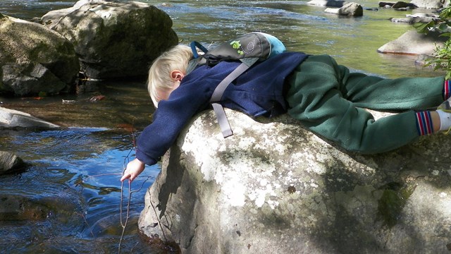 young boy reaching into water