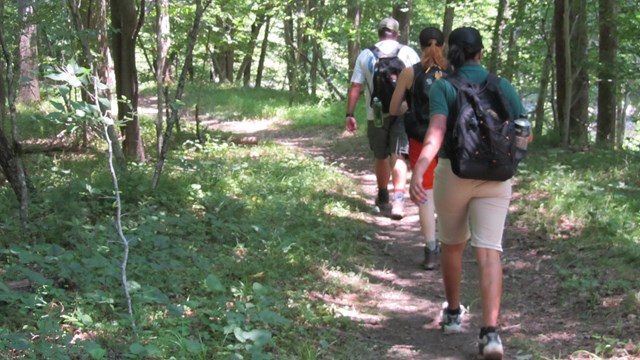 hikers on the trail