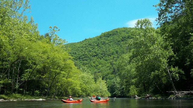 kayakers on the river