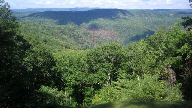 View from overlook