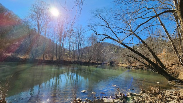 Sun shining over river with trees