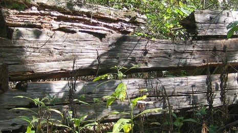 old timber cabin wall 
